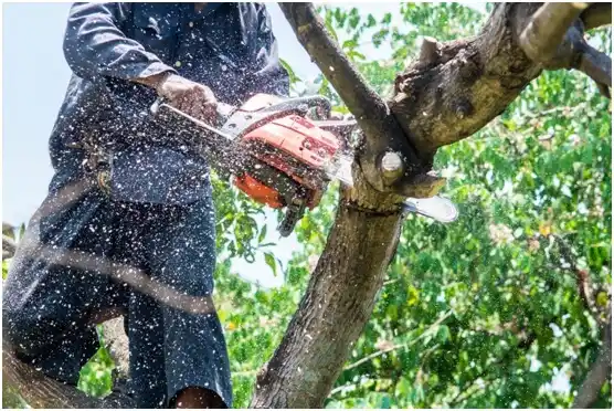 tree services Powells Crossroads